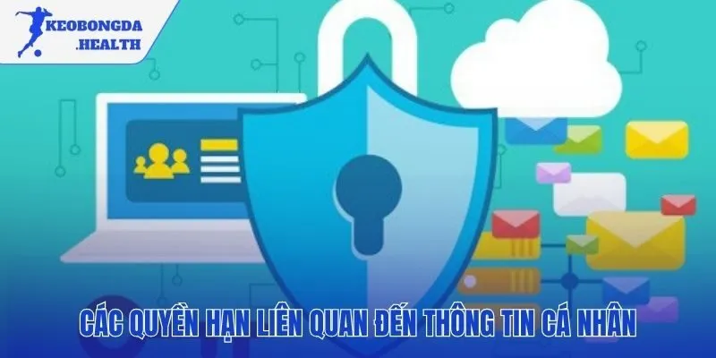 Chính sách quyền riêng tư trao bạn toàn quyền kiểm soát dữ liệu