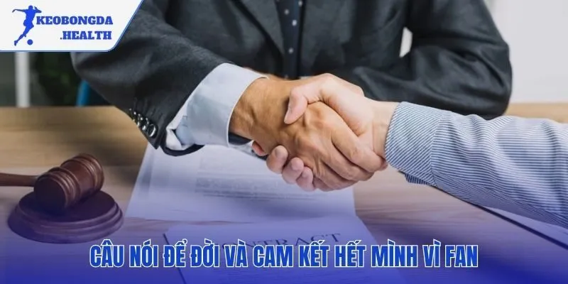 Dấu ấn BLV Tùng Gà Con qua những câu nói bất hủ