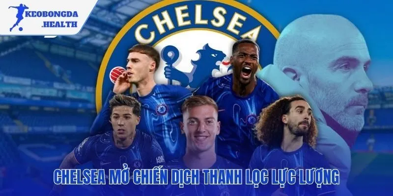 Tái cấu trúc đội hình vì sự phát triển bền vững