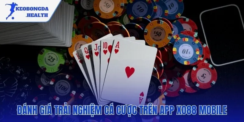 Trải nghiệm cá cược trên ứng dụng di động đầy đủ tính năng