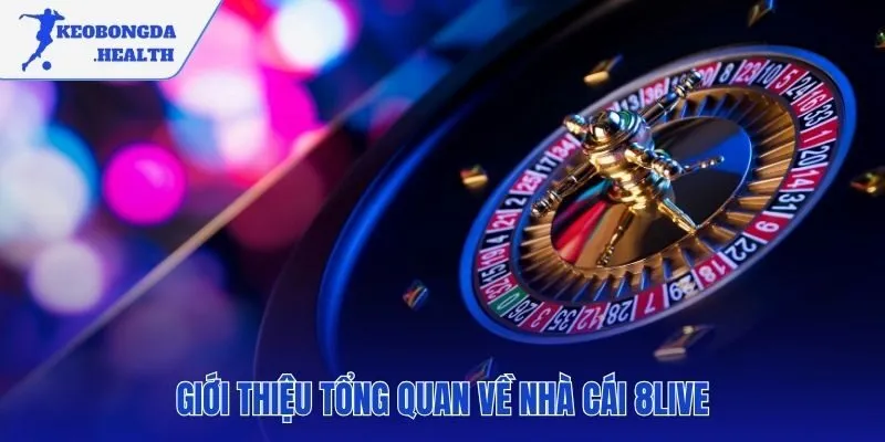 8LIVE nền tảng giải trí toàn diện công nghệ hiện đại