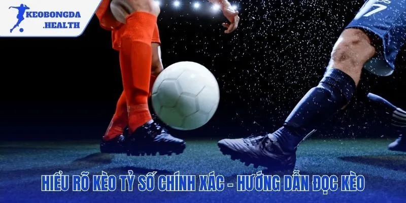 Giải thích cách đọc odds và tính tiền thắng cược