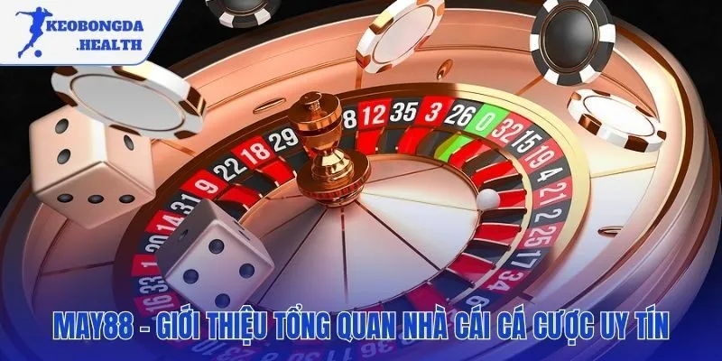 MAY88 xây dựng không gian cá cược theo tiêu chuẩn quốc tế