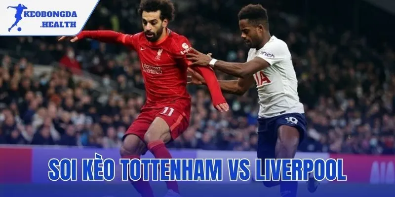 Soi Kèo Tottenham Vs Liverpool | Nhận Định Trận Đấu